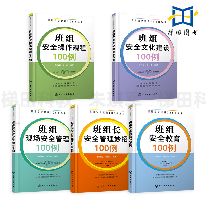 全套5册 班组安全建设100例丛书 班组安全文化建设+班组现场安全管理+班组长安全管理妙招+班组安全教育+班组安全操作规程100例
