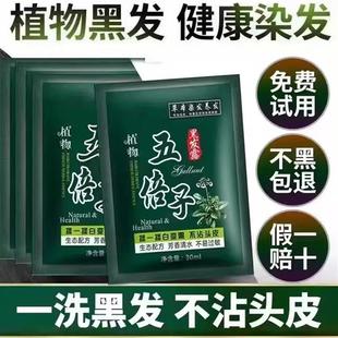 泡泡染发剂自己在家染发天然纯植物无刺激染发膏 五贝子一洗黑正品
