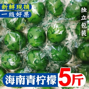 当季 海南青柠檬新鲜现摘绿皮薄多汁非无籽饮品5斤整箱 包邮 现摘发