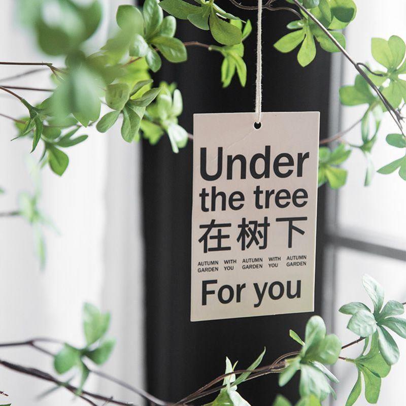 禁止蕉绿卡片禁止焦虑挂件在树下吊牌禁止蕉绿挂画水培挂件绿植卡