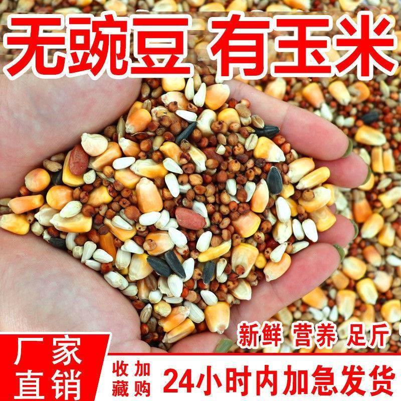 10斤20鸽粮鸽子粮高粱包邮玉米粒豌豆专用鸽子食营养混合小粒玉米