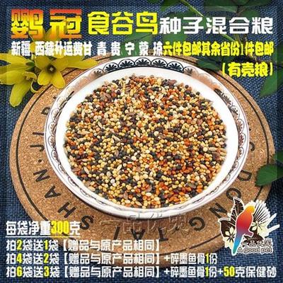 白燕金青芙蓉文鸟七彩金翅金丝雀z玉鸟黄雀麻料十姐妹鸟粮饲欧洲