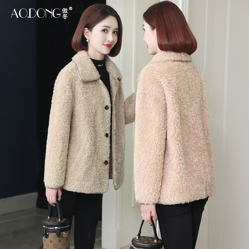 海宁短款羊剪绒颗粒傲冬韩版