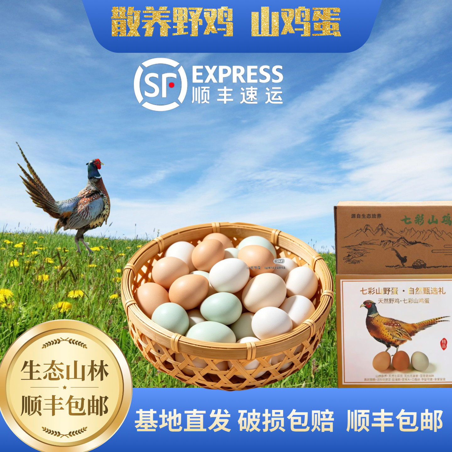 农家散养七彩山鸡蛋土鸡蛋宝宝辅食端午礼盒顺丰包邮新鲜纯天然