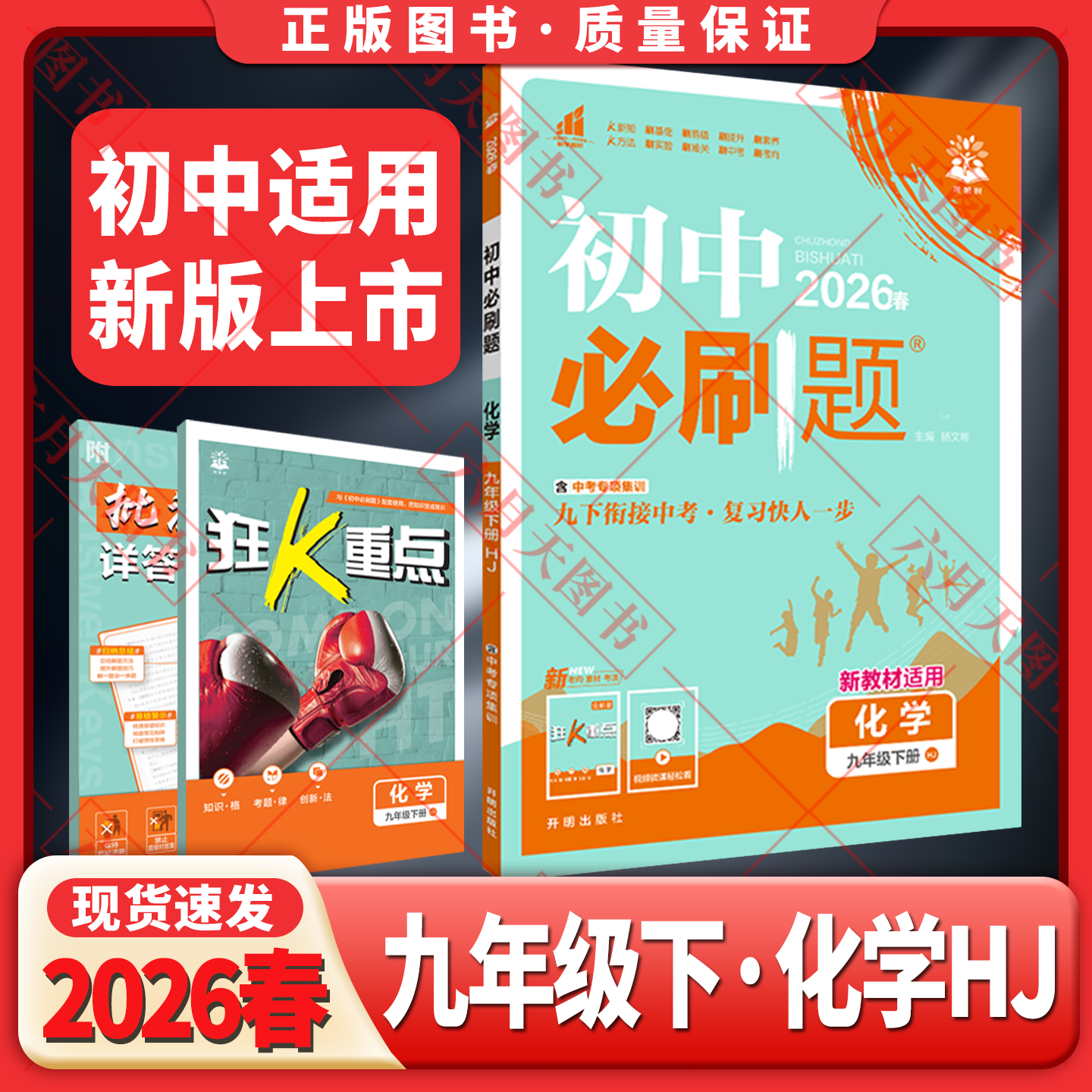 初中必刷题九年级下册化学HJ