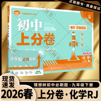 九年级下册化学人教版