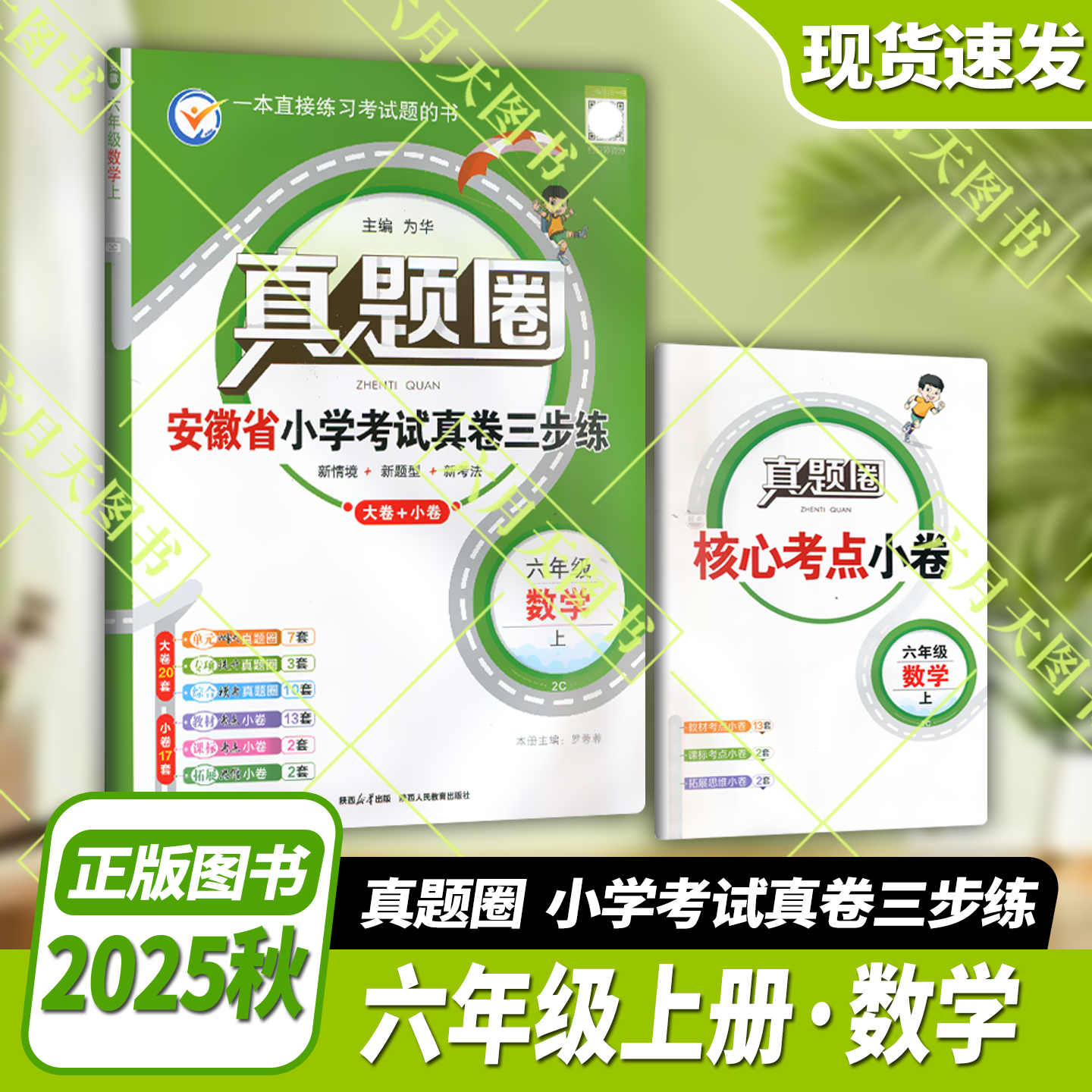 2025秋版真题安徽省小学考试