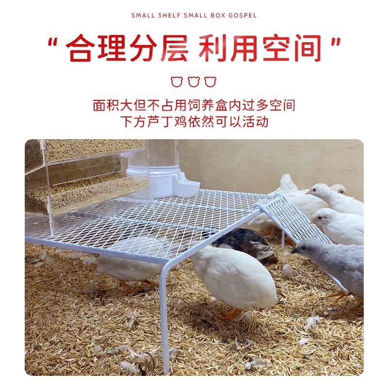 芦丁鸡造景网格平台放多功能喂食器食盒饮水壶架子卢丁鸡饲养用品
