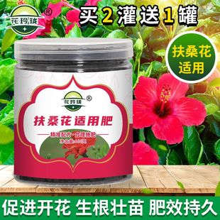 扶桑花适用肥 花肥有机肥开花生根缓释颗粒肥花卉植物肥料