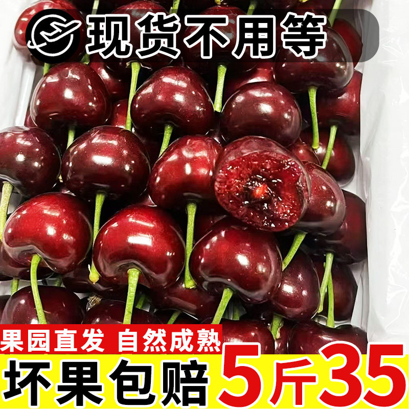 现货露天大樱桃国产车厘子山东樱桃新鲜水果孕妇当季整箱5斤美早