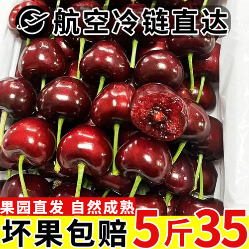 露天大樱桃国产车厘子山东樱桃新鲜水果孕妇当季整箱5斤美早樱桃