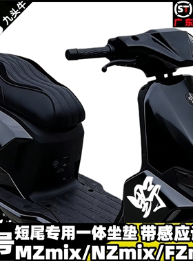适用九号Mzmix/Nz/Fz/Fmix/F30一体座包双人坐垫短尾支架改装配件