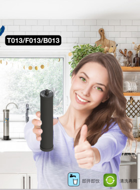 Fairey 飞力净水10寸T013 B013 F013 活性炭过滤家用直饮滤芯