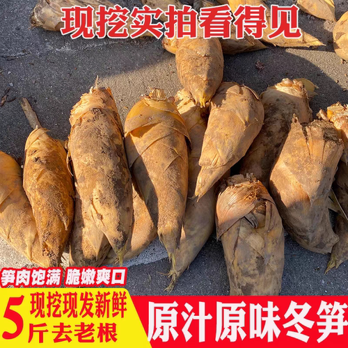 湖南野生冬笋新鲜竹笋黄泥笋带壳嫩笋笋尖老农现挖现发去老根9斤