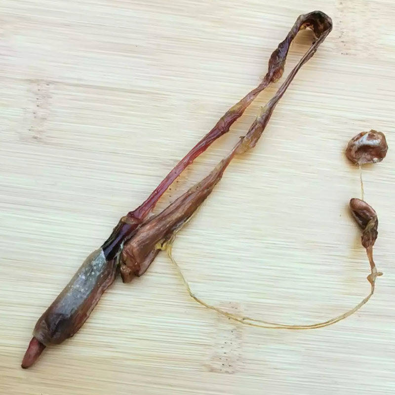 海鞭肾带睾丸狗鞭中药材泡酒料优质干货男士滋补养生