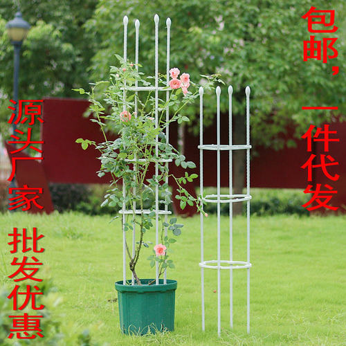 包邮爬藤架铁线莲攀爬花架月季植物藤月花支架园艺用品