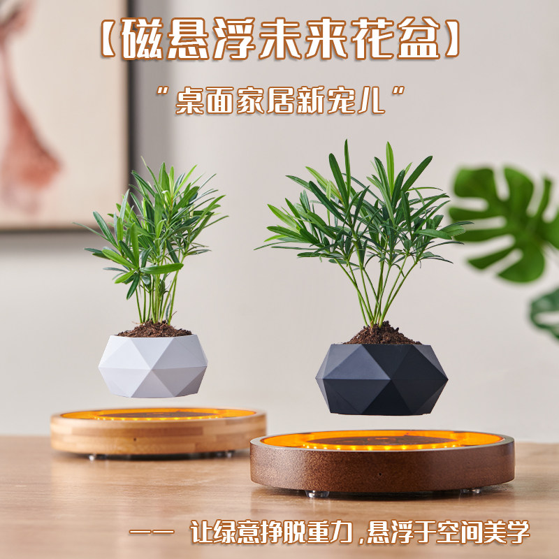 盆栽磁悬浮女朋友圣诞节礼物