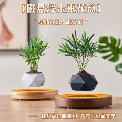 盆栽磁悬浮女朋友圣诞节礼物