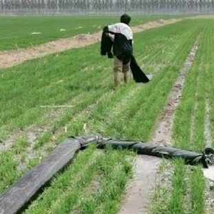 抗旱浇地神器灌地水带农田灌溉水管水龙带浇地布水带加厚农用10寸