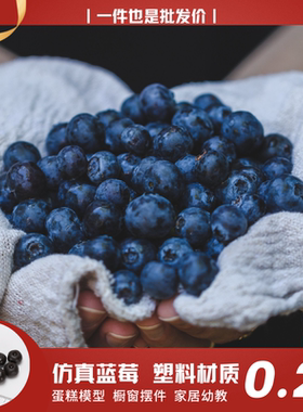 仿真蓝莓粒浆果树莓红蓝色模型仿真水果丁切块切片假塑料道具摆件