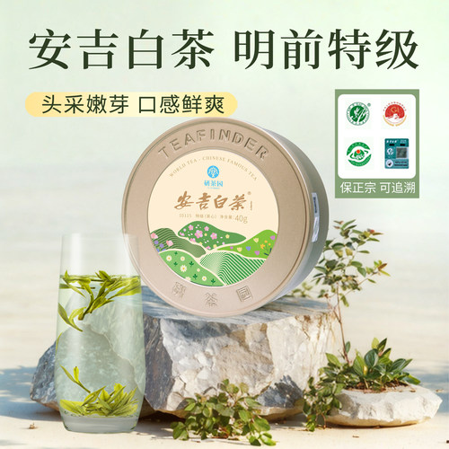 研茶园安吉白茶特级茶心40g新茶