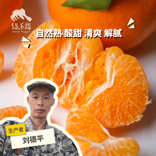 生态耙耙柑 四川丹棱 2.5kg 绿手指份额农园