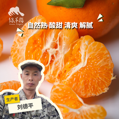 生态耙耙柑 四川丹棱 2.5kg 绿手指份额农园