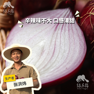 生态紫皮洋葱 1.5kg/2.5kg 绿手指份额农园
