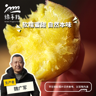 生态红薯（河北）5斤/7斤 绿手指份额农园
