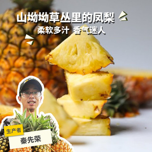 生态凤梨 2.5kg/4.5kg/箱半野生无刺卡因和甜蜜蜜 绿手指份额农园