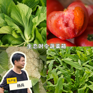 生态时令蔬菜箱 1.5kg/2.5kg 绿手指份额农园