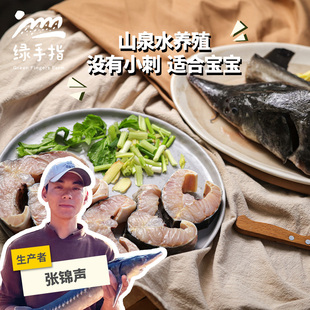 生鲜鱼扒生态鲟龙鱼(切块)| 绿手指份额农园