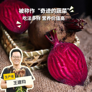 有机甜菜根  1/1.5/2.5kg  绿手指份额农园