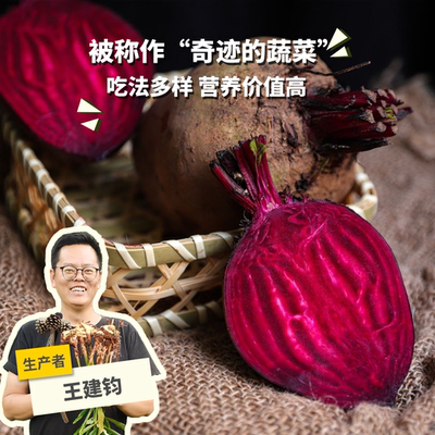 有机甜菜根  1/1.5/2.5kg  绿手指份额农园