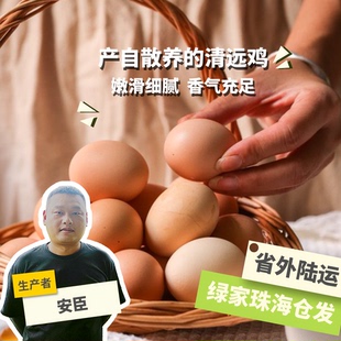 生态初生鸡蛋30枚新鲜孕妇宝宝辅食 绿手指份额农园