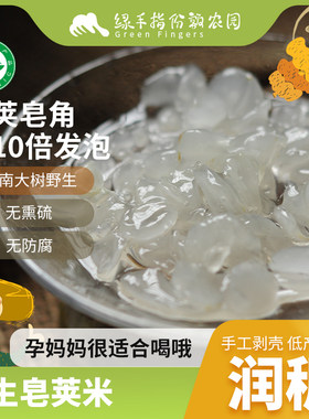 野生天然皂角米绿手指单荚