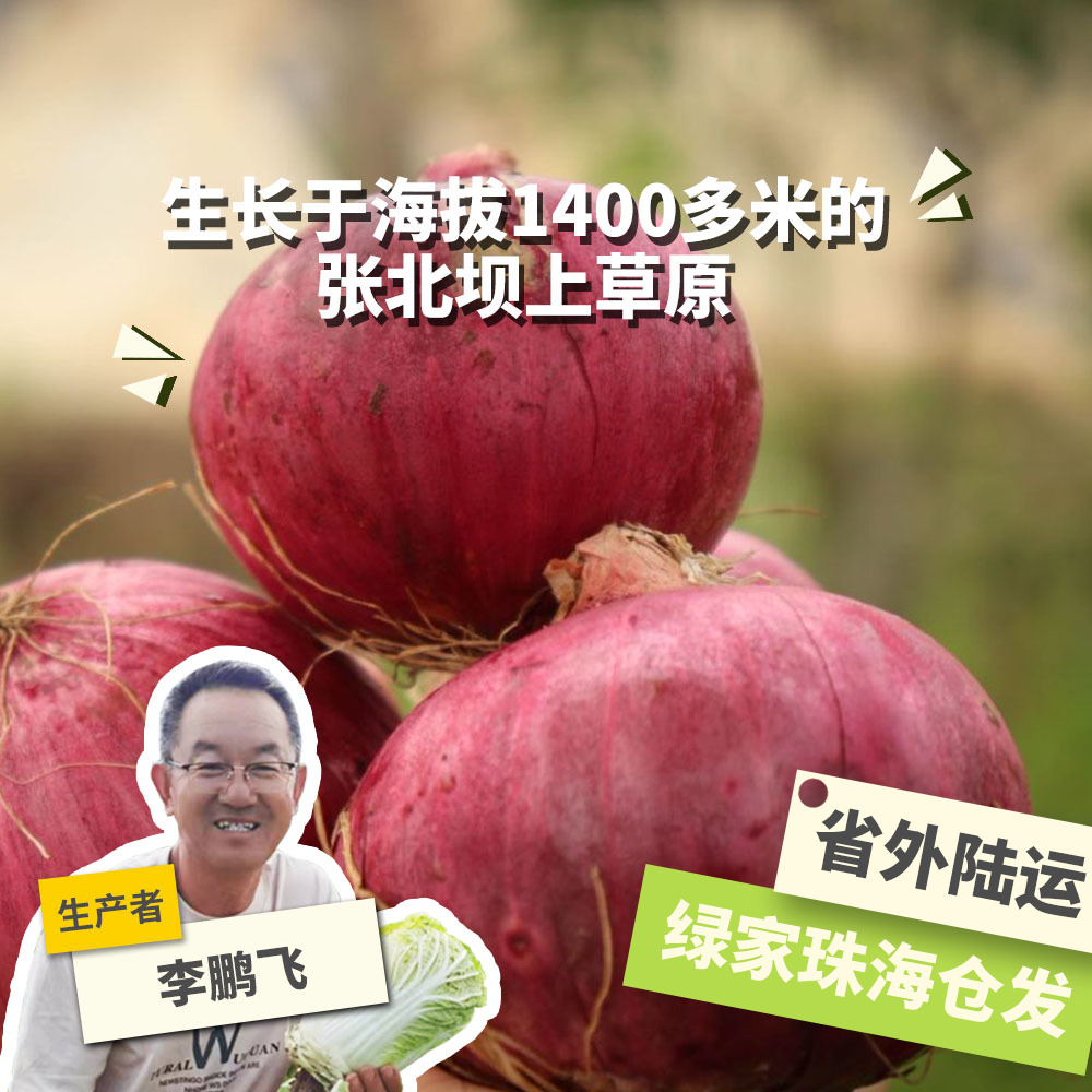 生态洋葱 2.5kg 河北 绿手指份额农园