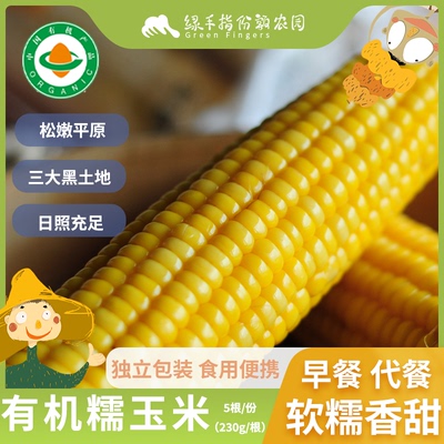 绿手指真空包装东北甜黏糯玉米