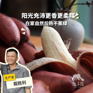 【赠送半斤】生态黄皮红皮香蕉2.5kg绿手指份额农园