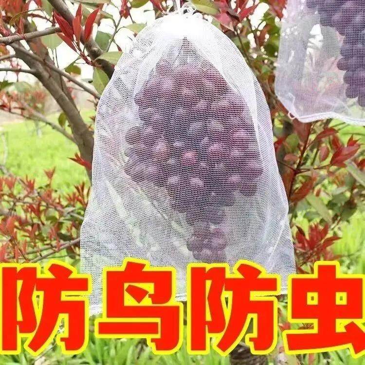 【100只！】自带抽绳葡萄水果果实套袋防虫防鸟透气不遮阳