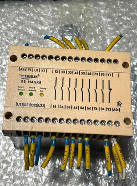 德国RIESE安全继电器 RS-NAGX8 AR.9618. 议价