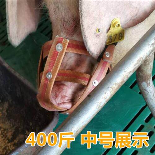母猪防咬套 猪嘴套 猪脖套牛马嚼子嘴套猪笼嘴猪嘴笼防咬猪仔