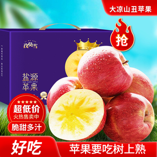 四川大凉山盐源县 产地直发新鲜丑苹果脆甜多汁 盐源糖心苹果礼盒