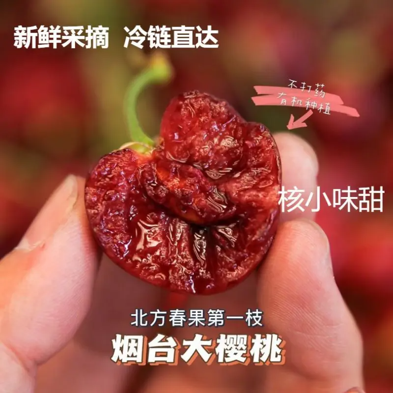 【时令鲜果】山东烟台大红灯 大樱桃 国产车厘子 现摘现发