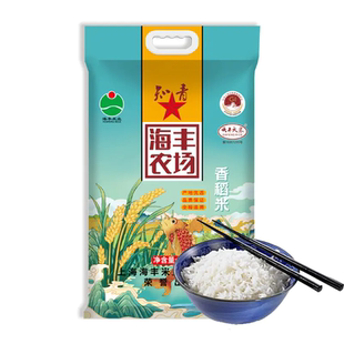 新米大米 当季 知青海丰农场 香稻米5kg5kg