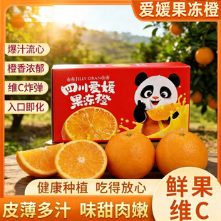 新鲜采摘 四川蒲江 8斤 4.5斤 产地直发 爱媛38号果冻橙彩盒装