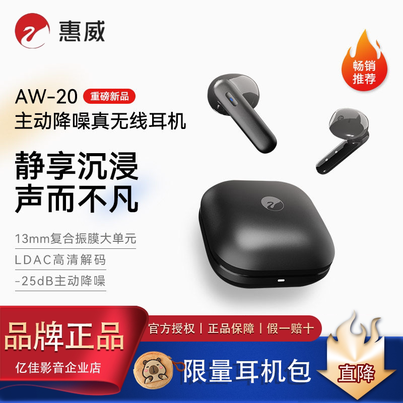 HiVi惠威AW-20真无线降噪耳机蓝牙6.0半入耳式耳机长续航运动跑步