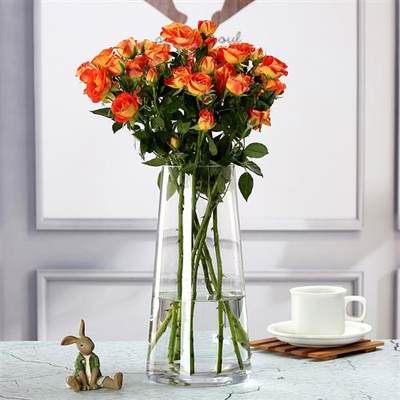 百合花专用玻璃花瓶透明水养插花水培鲜花摆件客厅现代简约轻奢风