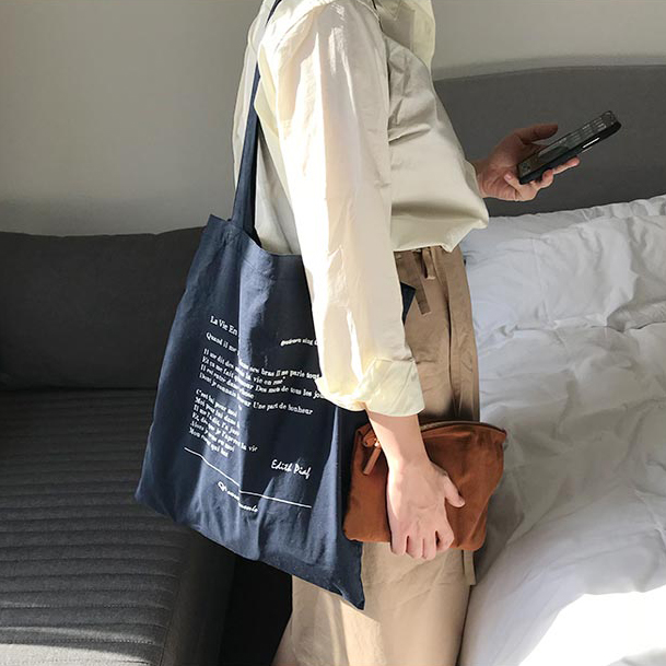 包包女新款大学生百搭风帆布包包