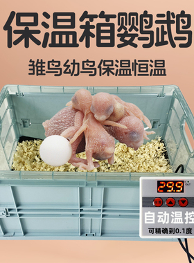 鹦鹉宠物保温箱控温usb加热垫育雏幼鸟智能自动恒温毯保暖器防水